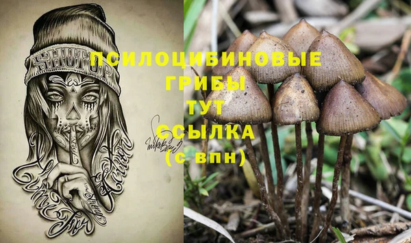 прущие крисы Алзамай