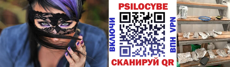 где купить наркоту  МЕГА как войти  Псилоцибиновые грибы MAGIC MUSHROOMS  Татарск 
